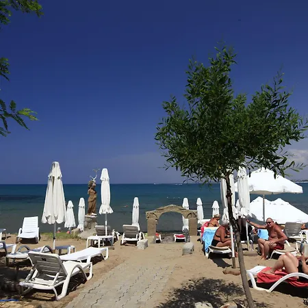 레다 비치 호텔 시데