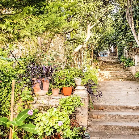 레다 비치 시데