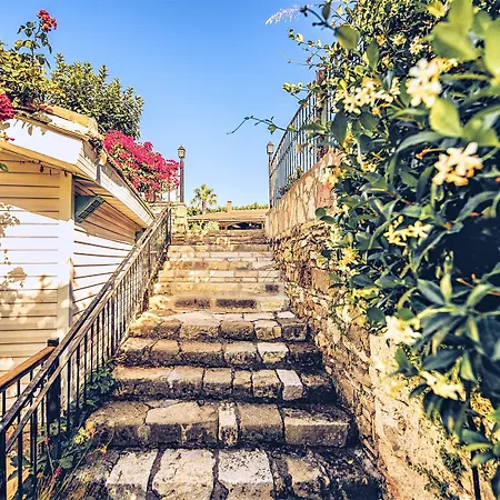 레다 비치 시데