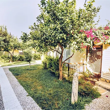 레다 비치 시데